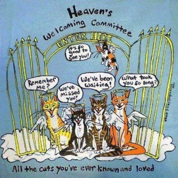 Meet your Posher, Sharona - Picture 9 of 13